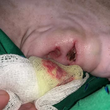 Vet34 Veteriner Kliniği Yanlış Tedavi Ve Bilgisizlik