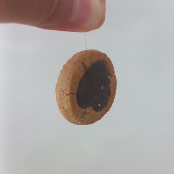 Torku Bisküviden Çıkan Kıl