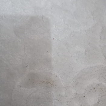 Dadaş Halı Yıkama Halılar Yıkanmamıştı Ve Pisti