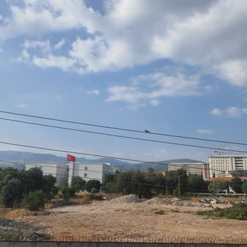 Ege Üniversitesi Çöplüğü Çevre Ve Gürültü Kirliliği