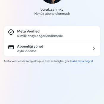Instagram Meta Verified