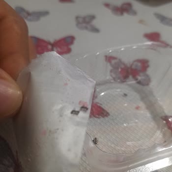 A101 Xroll Marka Puf