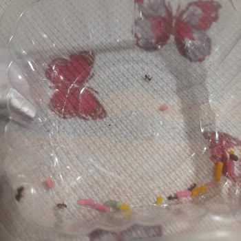 A101 Xroll Marka Puf