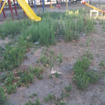 Lapseki Belediyesi Lapseki Çocuk Parkı Bakımsız