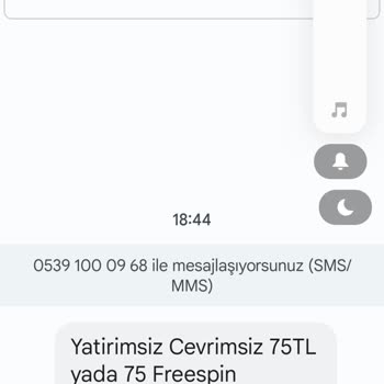 0539 100 09 68 Rahatsız Edici Mesajlar Gönderiyor!