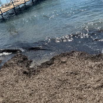 Shayna Beach Hotel Hijyen Ve Dökülen Bina