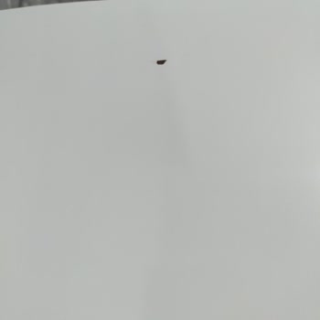 Bosch Buzdolabımın İç Ve Dış Kısımlarında Paslanmalar