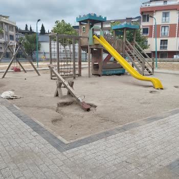 Bursa Nilüfer Belediyesi Çalı Mahallesindeki Parkta Köpek Problemi