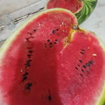 Trendyol Hızlı Market Trendyol'dan Aldığım Çürük Karpuz