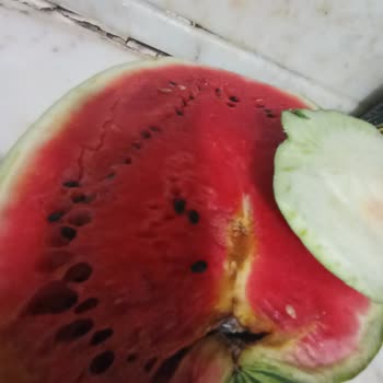 Trendyol Hızlı Market Trendyol'dan Aldığım Çürük Karpuz