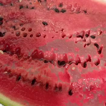 Trendyol Hızlı Market Trendyol'dan Aldığım Çürük Karpuz