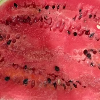 Trendyol Hızlı Market Trendyol'dan Aldığım Çürük Karpuz