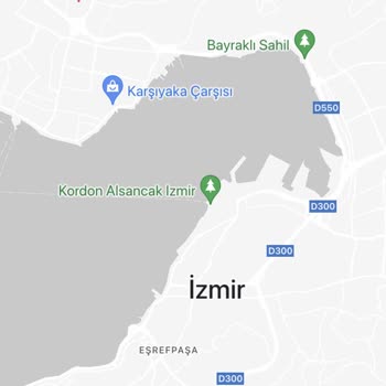 Bisim (Akıllı Bisiklet Kiralama Sistemi) Sorunu