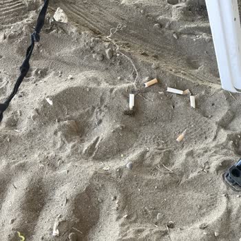 Serik Belediyesi Belek Halk Plajının Kirliliği