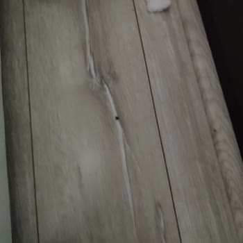 Ayvalık Gayrimenkul Böcekli, Pis Ev