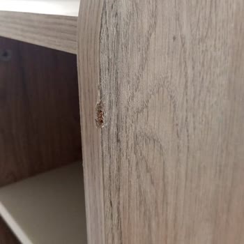 Ankara Eren Nakliyat Pişmanlık