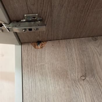 Ankara Eren Nakliyat Pişmanlık