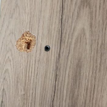 Ankara Eren Nakliyat Pişmanlık