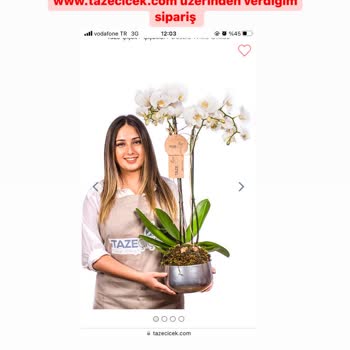 Taze Çiçek (tazecicek.com) Ürün Siparişinde Aldatma!