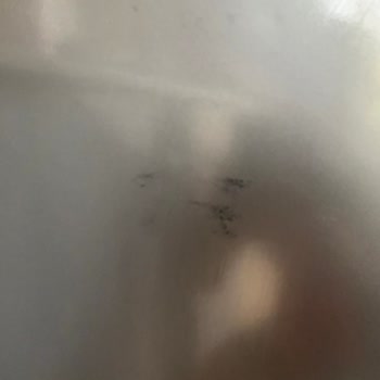 Arçelik Servis Dikkatsizliği Yüzünden Anne Sütlerimiz Bozuldu