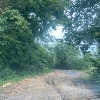 Kumru Belediyesi Köy Yollarının Yürünemez Halde Olması