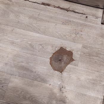 Tatilbudur Otel Olmayan Otel Şikayeti.