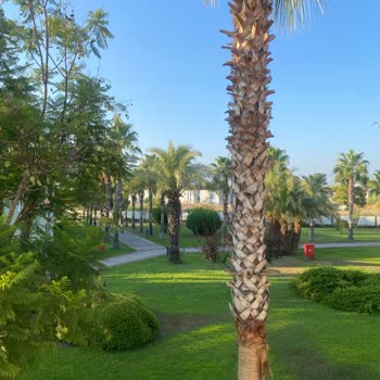 Euphoria Hotels Palm Beach Resort Memnuniyetsizliği