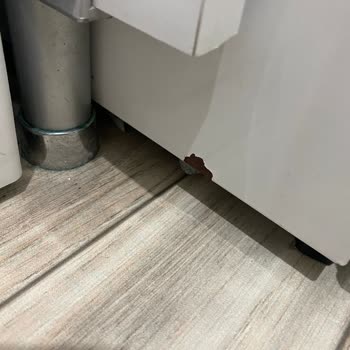 Profilo Aldığıma Pişman Oldum!