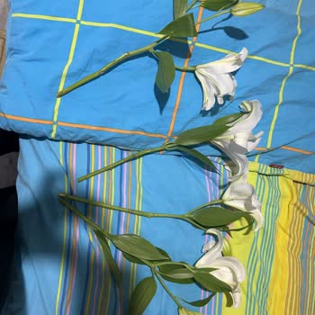 Çiçek Sepeti Eksik/hatalı Ürün Teslimi