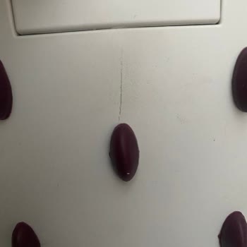 A101 Defolu Gelen Ürün