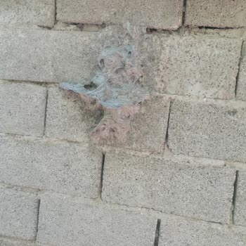 Konya Büyükşehir Belediyesi İlaçlama Desteği İstiyorum