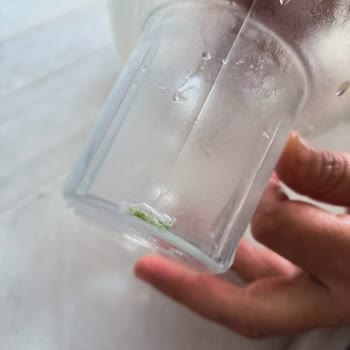 Brita Sürahi Çatlayıp Yosun Tutuyor