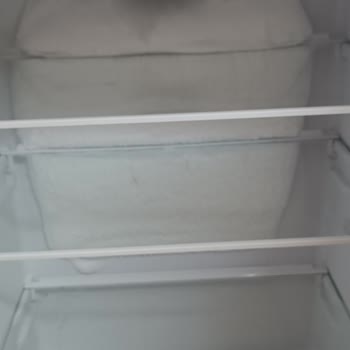 Vestel Buzdolabı Alt Tarafın Buzlanması