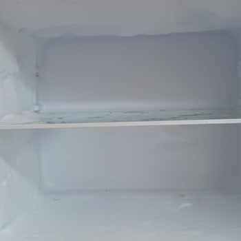 Vestel Buzdolabı Alt Tarafın Buzlanması