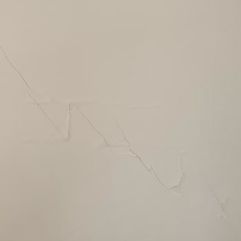 DASK Şikayeti Eksper Talebi