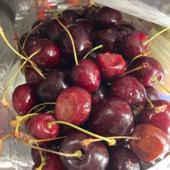 Tazedirekt Taze Direk Çürük Ürünler Gönderiyor