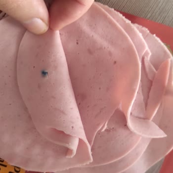 Lezita Üründen Bir Şey Çıktı