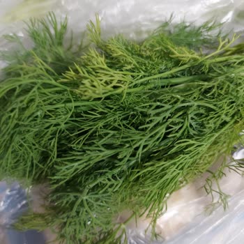 Getir Büyük Kötü Ürün Gönderimi