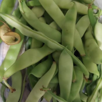 Getir Büyük Kötü Ürün Gönderimi