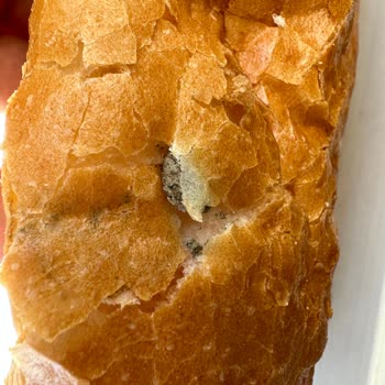 Migros Ekmeğin İçinden Çıkan Pislik