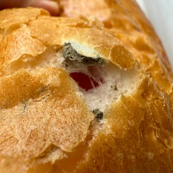 Migros Ekmeğin İçinden Çıkan Pislik