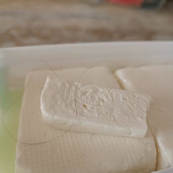 Torku Peynir Den Kıl Çıktı.