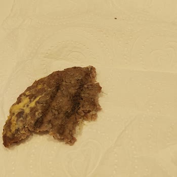 Cadde 54 Burgerde Köftemin İçinden Kıl Çıktı