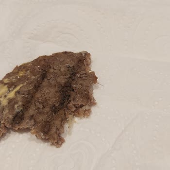 Burger King'den Aldığım Köfteden Kıl Çıktı