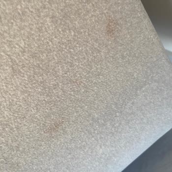 Enza Home Ayıplı Basel Koltuk Hk