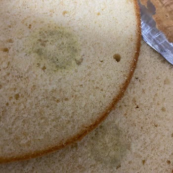 A101 Nimet Marka Küflenmiş Kimyasal Kokulu Pandispanya