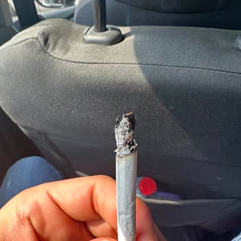 Philip Morris Sigaradan Odun Çıkması