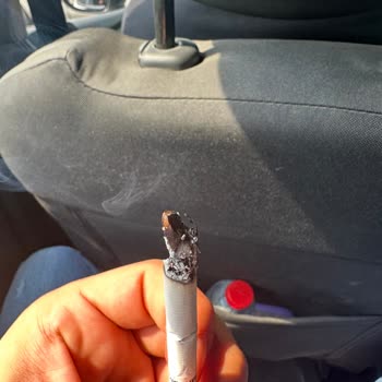 Philip Morris Sigaradan Odun Çıkması