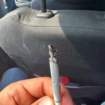 Philip Morris Sigaradan Odun Çıkması