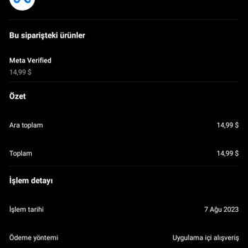 Instagram Hesap Onay Süreci